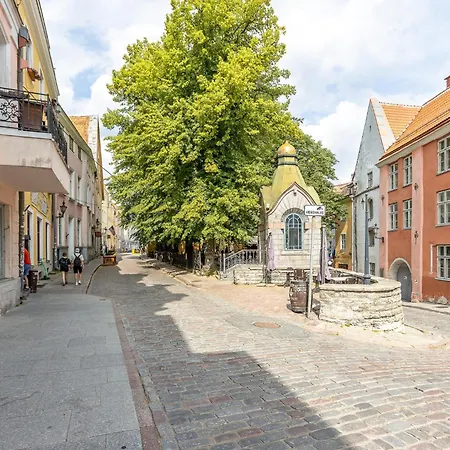 5 Stories Luxury&space In The Old Town With Care For * Tallinn