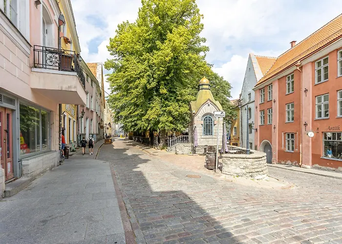 5stories Luxury Space In Old Town With Care * 塔林